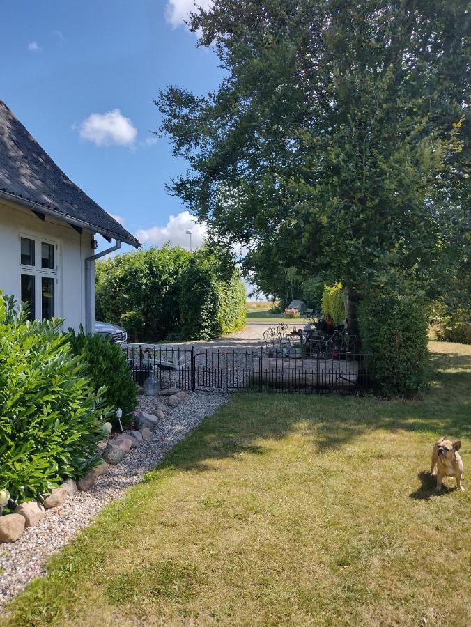 Bed and Breakfast Den Gamle Apotekergaard Hong Экстерьер фото